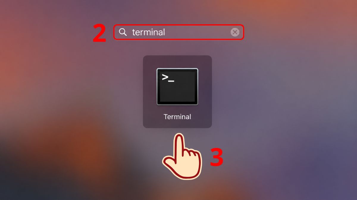 Tìm và mở ứng dụng Terminal trên MacBook