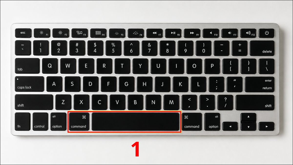 Mở Spotlight bằng tổ hợp phím Command + Space